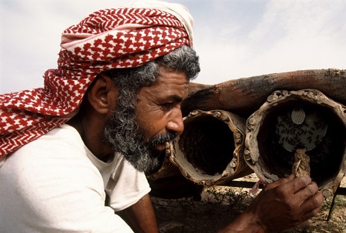 yemeni sidr honey